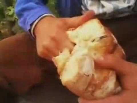 Clip de rap - Q8 & DSL & Svinkels & Rh