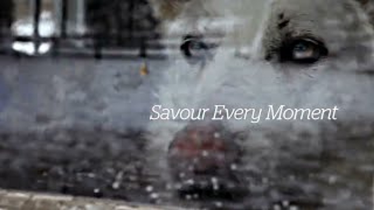 Savour Every Moment