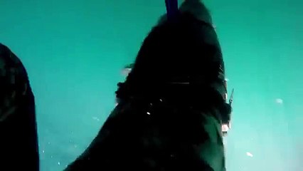 Опасная встреча