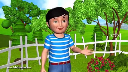 Baa Baa Black Sheep - 3D Animation English Nursery rhyme for children with lyrics