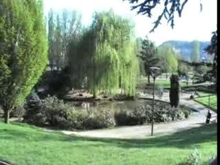 la belle promenade de dylan