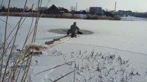チェーンソーで凍った池に落ちた牛を救え！