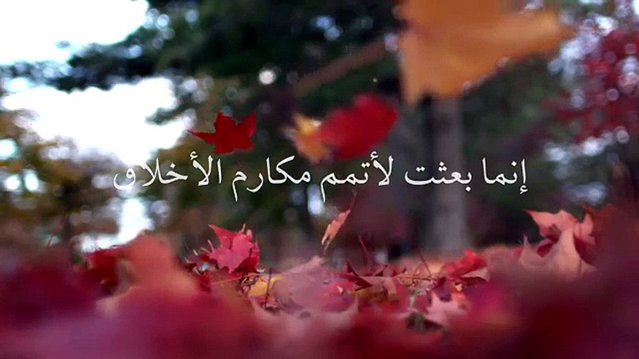 FAKE LOVE - Shaykh Tauqeer Chaudhary