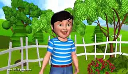 Baa Baa Black Sheep - 3D Animation English Nursery rhyme for children with lyrics