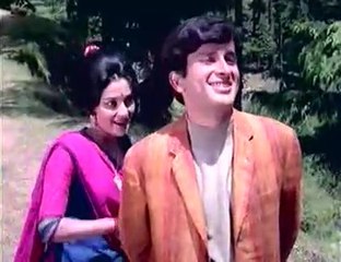 Evergreen Song: Timeless Melody 🎶