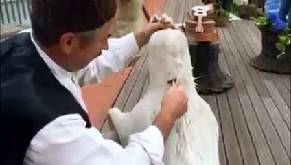 Borracho transporte de vinho na madeira