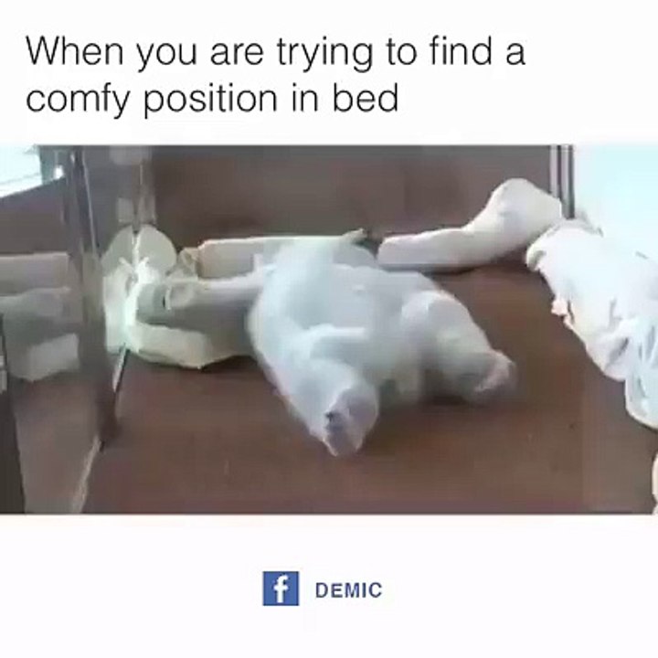 When you are trying to find a comfy  position in bed