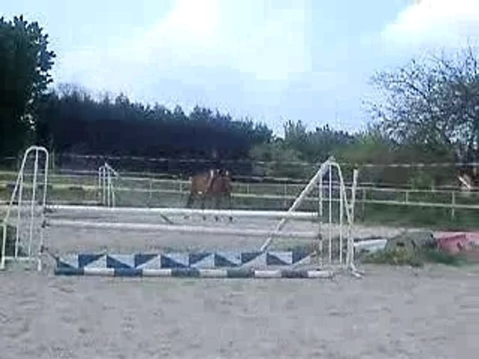 Moi et Fort au pas