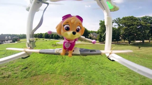PAW PATROL Nickelodeon Skye Flies in the Air and Saves Paw Patrol a Paw Patrol Video Parod