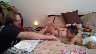 Funny Dogs Protecting Babies Compilation 2015 [NEW HD]