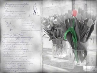 sous quelle étoile suis je né