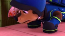 Paw Patrol Pup save a MER PUP #6 Clip