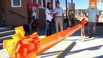 Best Friends Animal Sanctuary Dog Admissions Grand Opening 2015