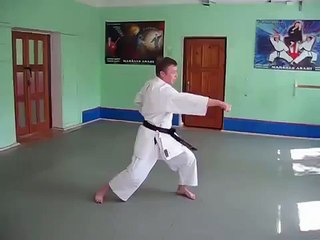 08- Gyaku Tsuki No Kata