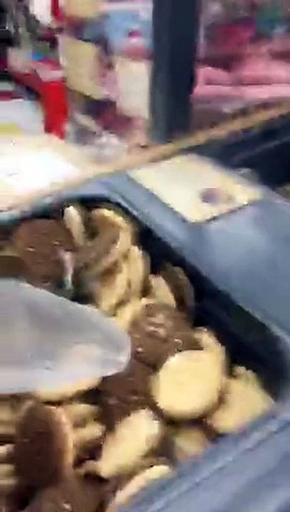 Rocky At Petco With Mike