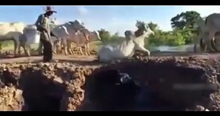 Awesome lesson for everyone