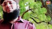 Mera Mola Mola Hussain Hai - Hafiz Tahir Qadri - New HD Video Manqabat [2015]