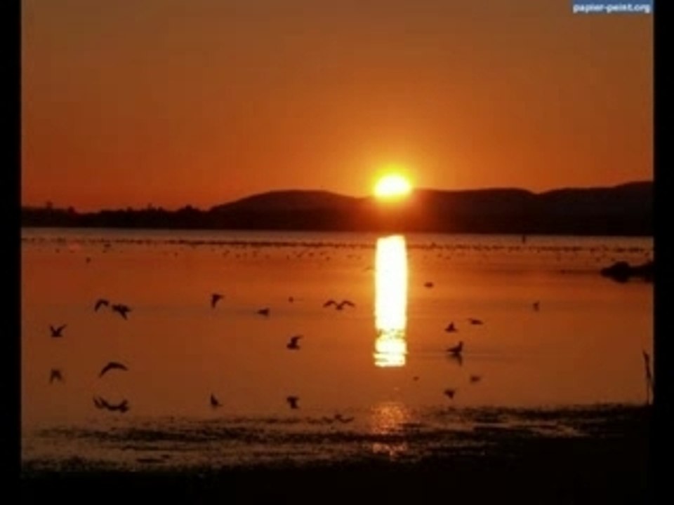 Soleil
