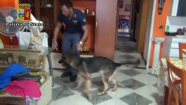 Rinvenuto un arsenale di armi a Vittoria