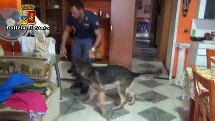 Rinvenuto un arsenale di armi a Vittoria