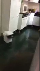 hacerle una broma a su madre