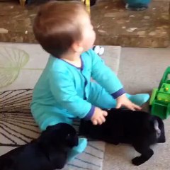 so much cuteness in one video