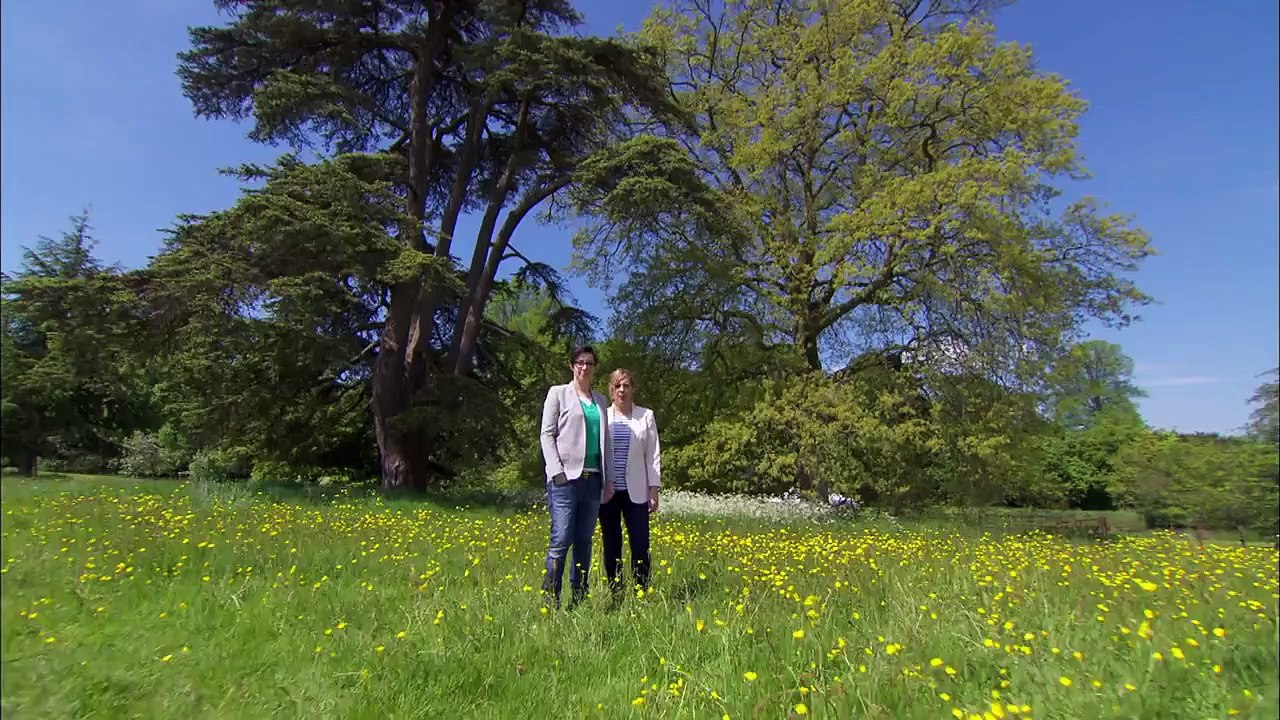 THE GREAT BRITISH BAKING SHOW | Season 2, Episode 8 Preview | PBS