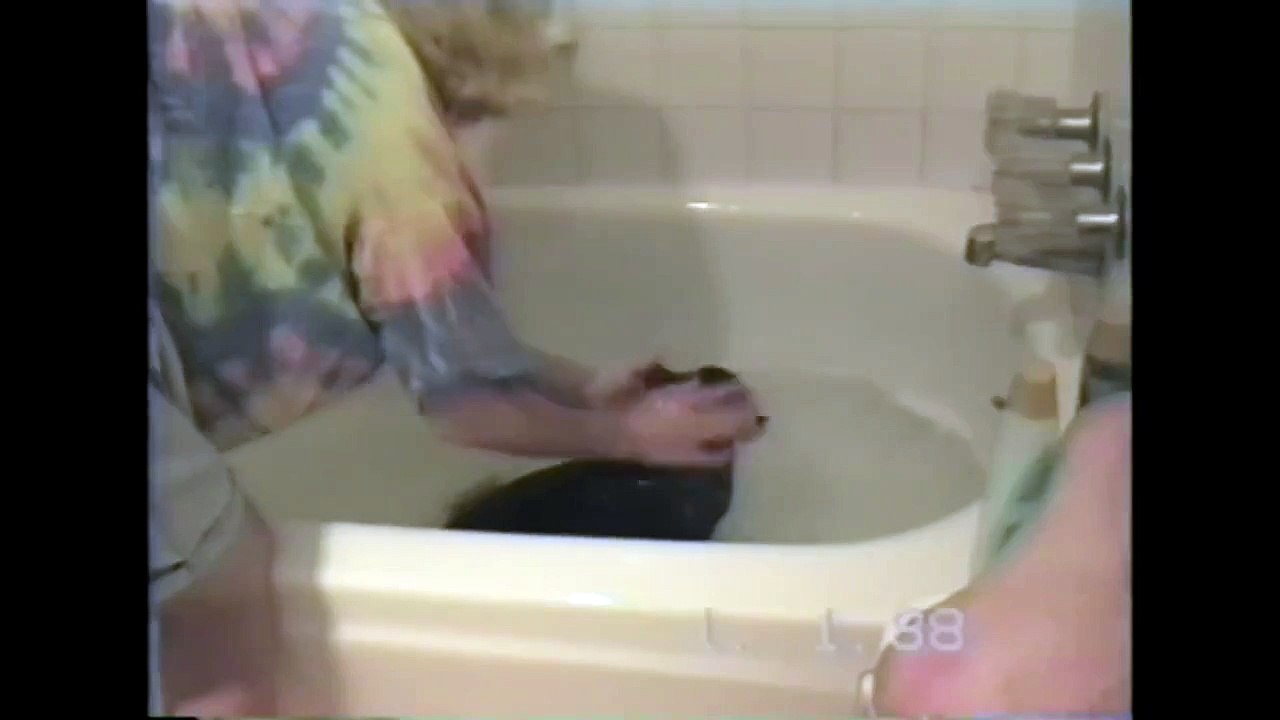 Cat Bath Fail-YwPSk1fC1M8
