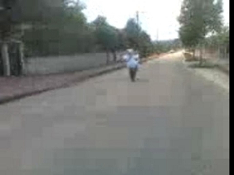 dago a bel air en roue arriere 69 la tri