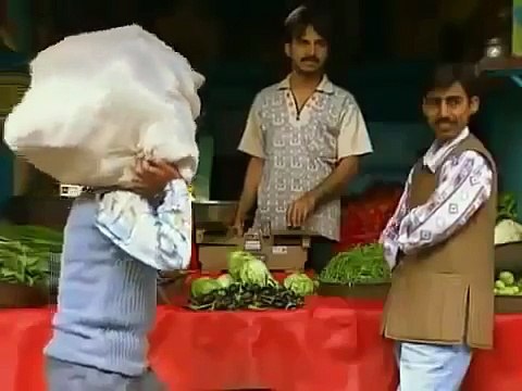 The Grey Wolf / Gray Wolves Hunting In the Wild [Animal Nature Wildlife Documentary]