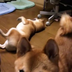 And behind me is Chris... We don't usually talk about him.