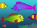 Meet Ploop The Baby Fish! Educational Cartoons for Kids & Children /childrens phim hoạt hì