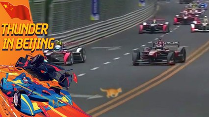 Cat On The Track During Formula E Race In Beijing!