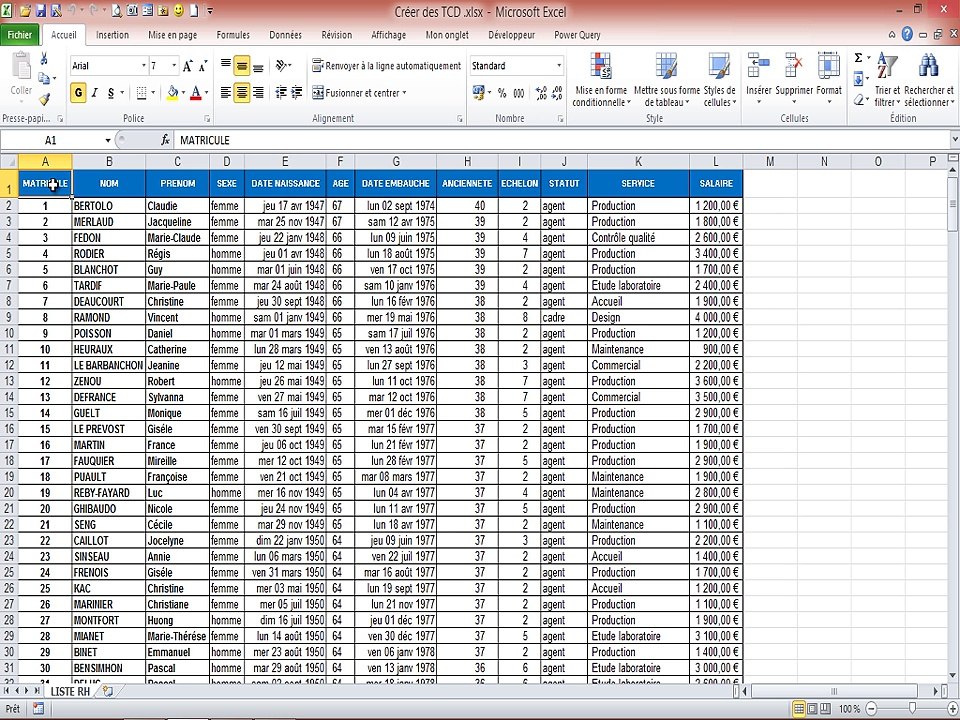 Excel - Les Tableaux Croisés Dynamiques (Module1)