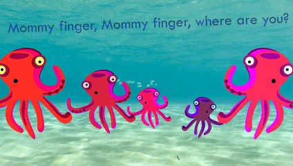 Octopus Finger Family Song Daddy Finger Nursery Rhymes Full animated cartoon english 2015