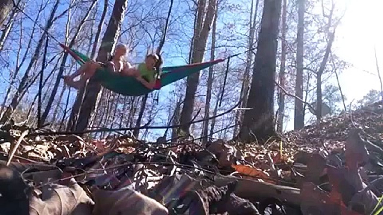 Tree vs girls