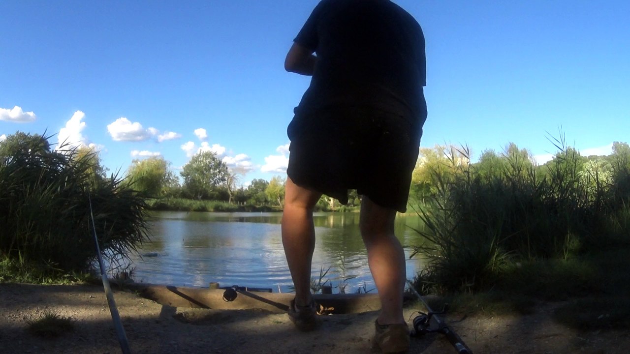 Pêche d'une carpe récalcitrante