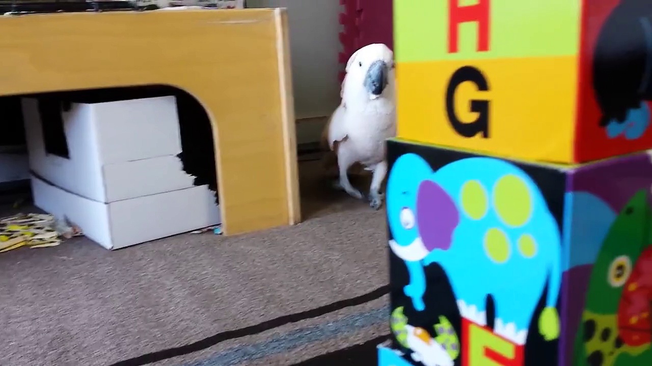 What Should I Do Next