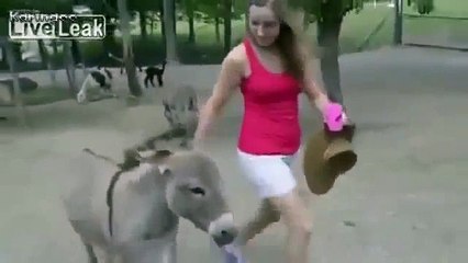 Güzel Kızı Gören Kıskanç Eşek