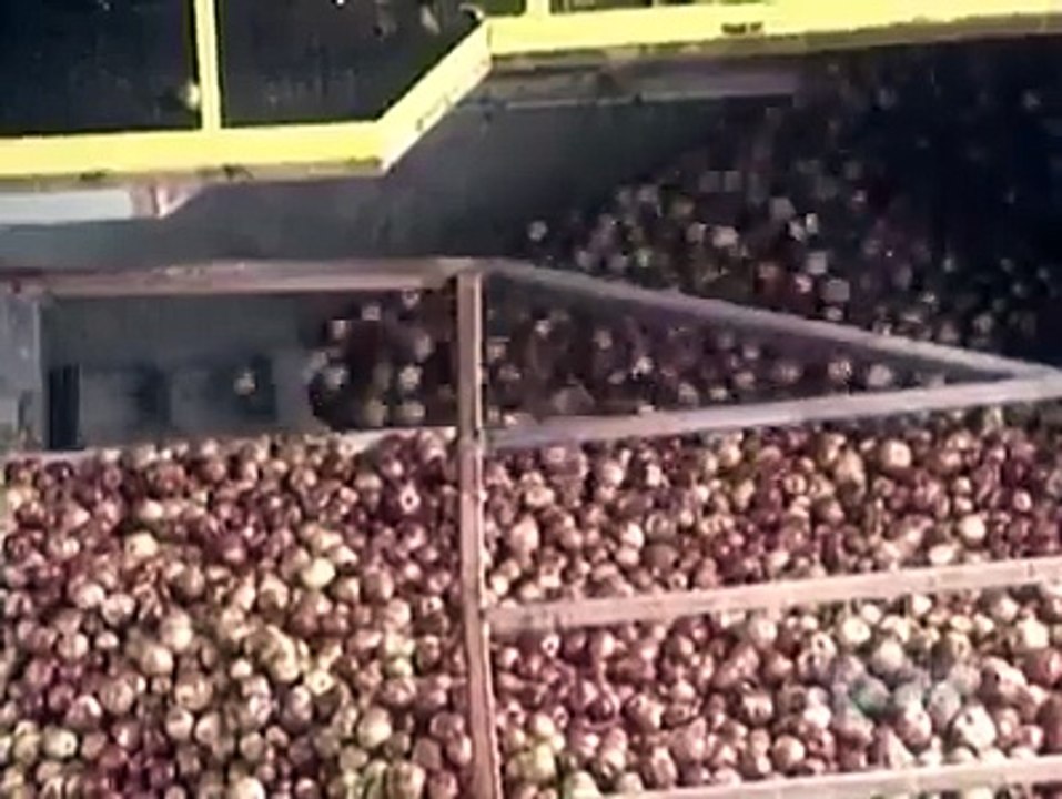 how factory make apple juice