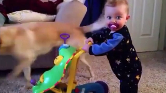 Bébé en galère avec son déambulateur... Faut bouger les pieds????