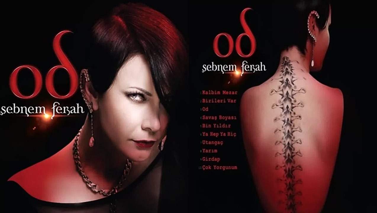 Çok Yorgunum- Şebnem Ferah dinle