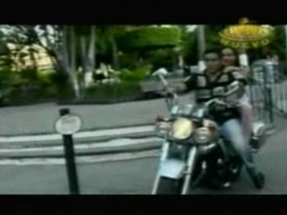 Abeja reina-original banda limon