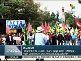 Campesinos ecuatorianos demandan créditos para reactivar el agro