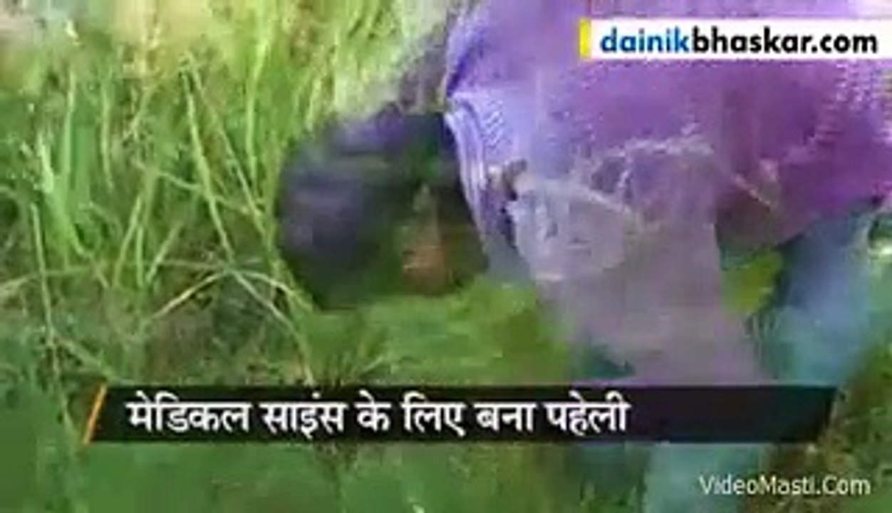 Iska Dil Toh Bahar Dhadakta Hai - Unique Guy Must Watch 2015