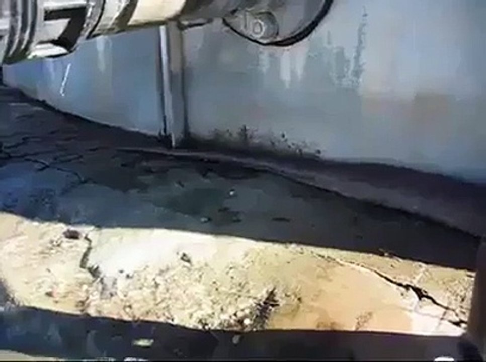 Must Watch Very Amzing very Huge & Big Snake