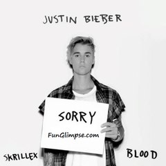 Justin Bieber - Sorry (Full Song)_HD