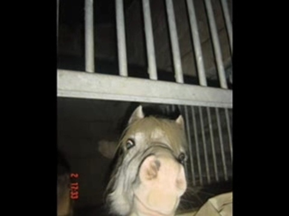 Freesby