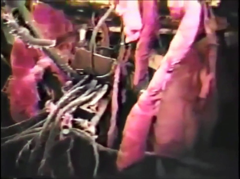 USS Scorpion (SSN 589) (documentary)