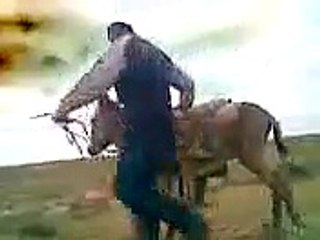 fun with own pet donkey